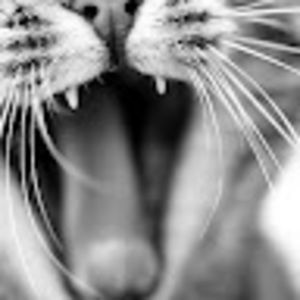 Meet your Posher, Marie-eve